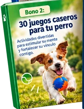Tapa del Bono 2, 30 juegos caseros para tu perro