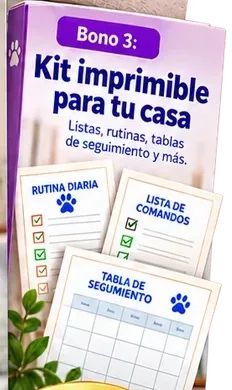 Tapa del Bono 3, Kit imprimible para tu casa